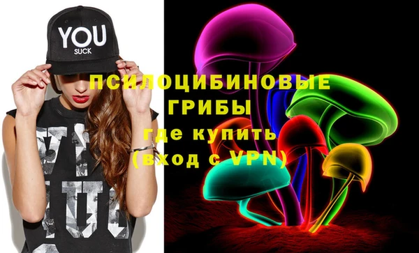 spice Алексин