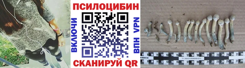blacksprut вход  Жирновск  Псилоцибиновые грибы MAGIC MUSHROOMS  цены  